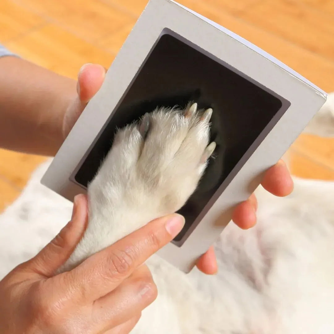 Pet paw print keepsake made with a clean touch ink pad