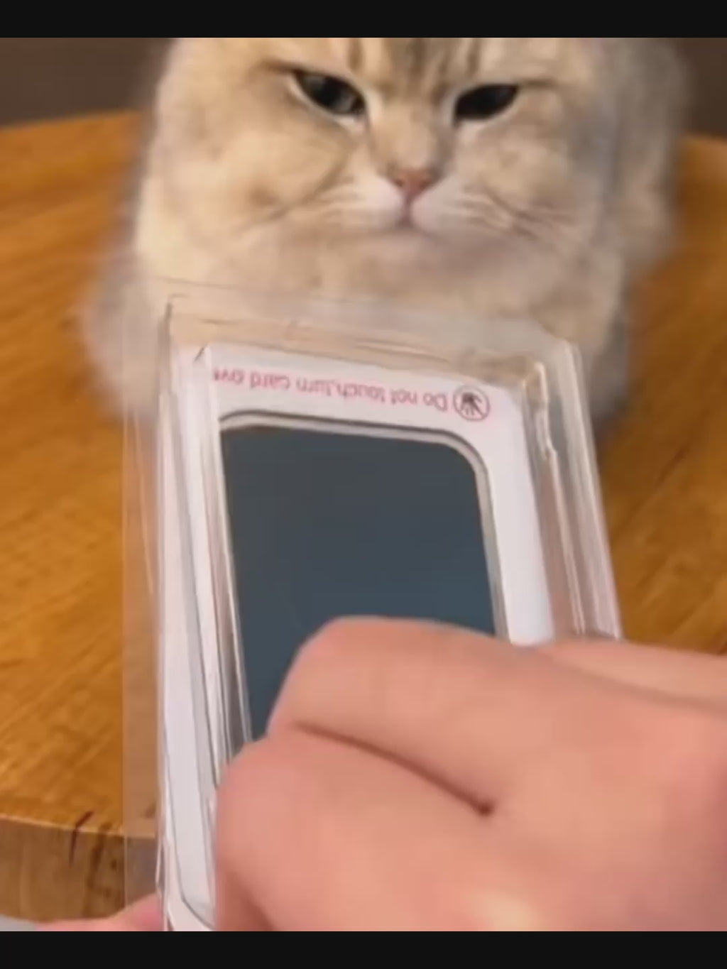 Clean Touch Paw Print Kit